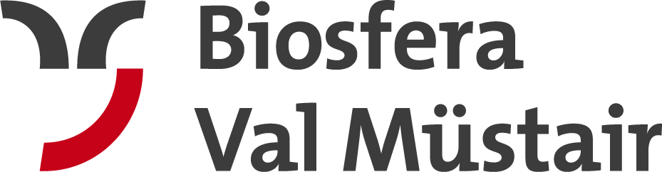 BVM Logo