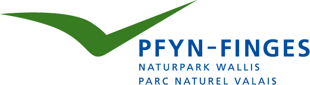 NPF Logo