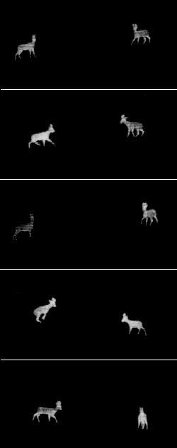 oh oh, no picture for you 